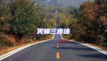 滅蟑三步法