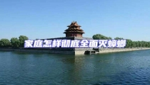 家庭怎樣徹底全面滅蟑螂