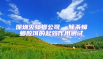 深圳滅蟑螂公司  除殺蟑螂膠餌的起效作用測試