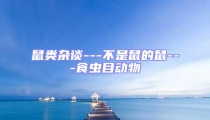 鼠類(lèi)雜談---不是鼠的鼠---食蟲(chóng)目動(dòng)物