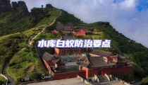 水庫(kù)白蟻防治要點(diǎn)