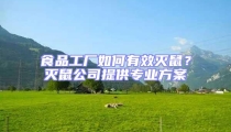 食品工廠如何有效滅鼠?滅鼠公司提供專業方案