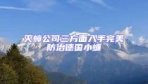 滅蟑公司三方面入手完美防治德國小蠊