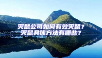滅鼠公司如何有效滅鼠?滅鼠具體方法有哪些?