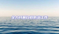 全力開展白蟻防治工作