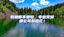 有蟑螂不要怕,專業滅蟑螂公司幫您忙!
