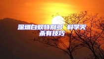 深圳白蟻特別多 科學滅殺有技巧