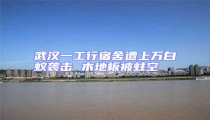 武漢一工行宿舍遭上萬白蟻襲擊 木地板被蛀空