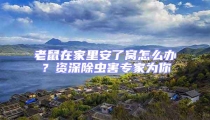 老鼠在家里安了窩怎么辦?資深除蟲害專家為你