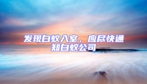 發現白蟻入室,應盡快通知白蟻公司