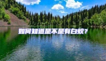 如何知道是不是有白蟻?