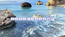 如何徹底清除螞蟻好方法