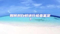如何對白蟻進行檢查鑒定?