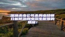 深圳殺蟲公司殺臭蟲技師分析防治臭蟲滋生繁殖的措施!
