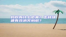 螞蟻有什么危害？怎樣快速有效消滅螞蟻？