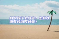 螞蟻有什么危害？怎樣快速有效消滅螞蟻？