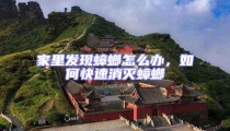 家里發(fā)現(xiàn)蟑螂怎么辦,如何快速消滅蟑螂