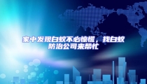 家中發(fā)現(xiàn)白蟻不必驚慌,找白蟻防治公司來(lái)幫忙