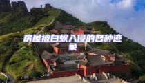 房屋被白蟻入侵的各種跡象
