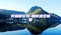 滅蟑螂公司-如何速滅蟑螂