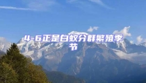 4-6正是白蟻分群繁殖季節(jié)