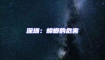 深圳:蟑螂的危害