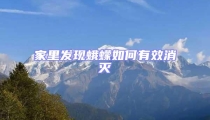 家里發(fā)現(xiàn)蛾蠓如何有效消滅