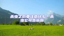 殺蟲之后要注意什么?殺蟲公司告訴你