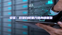 安溪:巨型白蟻巢穴隱身儲藏室