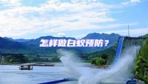 怎樣做白蟻預防?