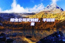 除蟲(chóng)公司滅螞蟻，手到擒來(lái)