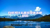 白蟻為什么喜歡侵害木質材料