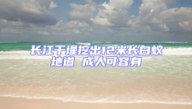 長江干堤挖出12米長白蟻地道 成人可容身