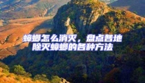 蟑螂怎么消滅,盤點各地除滅蟑螂的各種方法