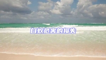 白蟻危害的損失