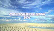 老鼠對家庭的危害是何等的大