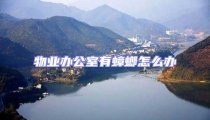 物業辦公室有蟑螂怎么辦