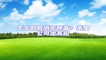 怎么徹底消滅跳蚤?殺蟲公司出高招