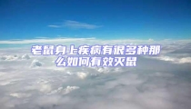 老鼠身上疾病有很多種那么如何有效滅鼠