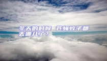 冬天的時候 蒼蠅蚊子都去哪兒了?