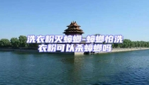 洗衣粉滅蟑螂-蟑螂怕洗衣粉可以殺蟑螂嗎