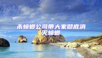 殺蟑螂公司帶大家徹底消滅蟑螂