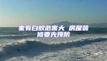 家有白蟻危害大 房屋裝修要先預防