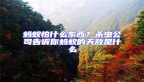 螞蟻怕什么東西?殺蟲公司告訴你螞蟻的天敵是什么