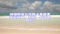 深圳除蟲公司教大家夏季驅趕蟑螂、螞蟻、蚊子的妙方!