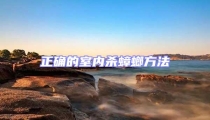 正確的室內殺蟑螂方法