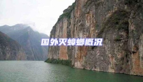 國外滅蟑螂概況