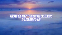 堤壩容易產生黑翅土白蟻的原因分析
