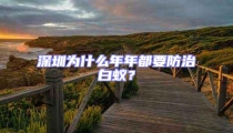 深圳為什么年年都要防治白蟻?