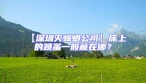 【深圳滅蟑螂公司】床上的跳蚤一般藏在哪?